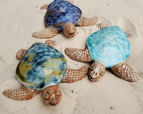 Beach Turtles