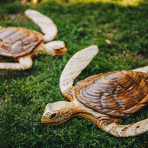Wooden Turtles