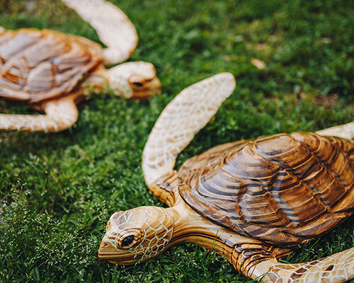 Mark Inscoe carved turtles